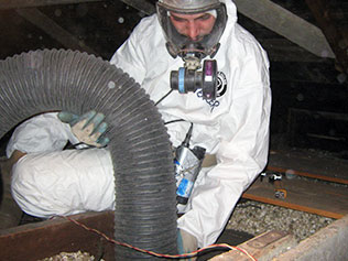 Old/damaged insulation removal